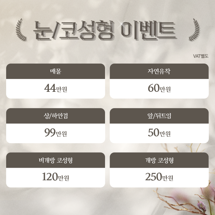 눈/코성형 이벤트