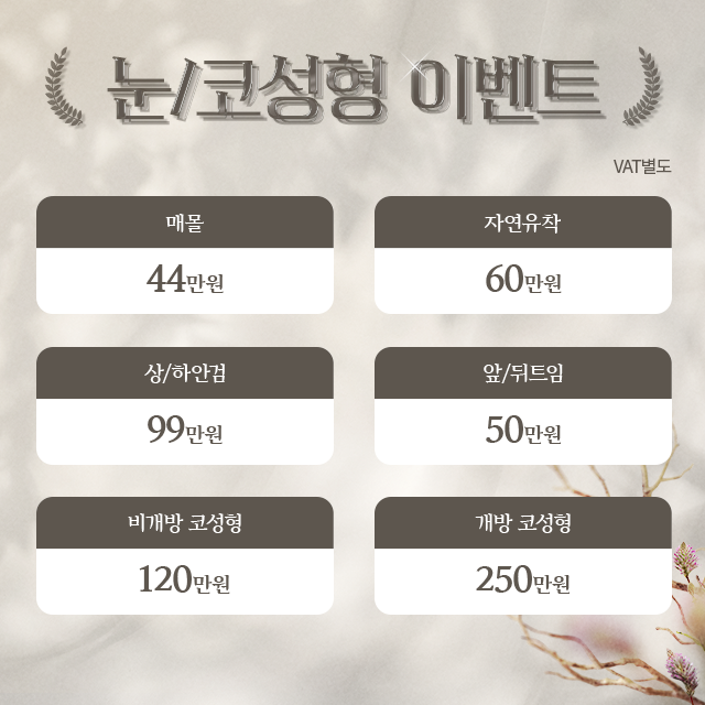 눈/코성형 이벤트